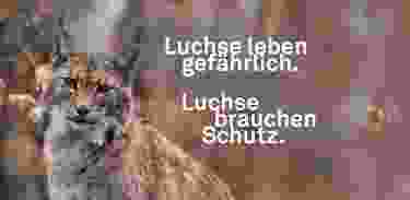 Luchsen ein artgerechtes Leben schenken