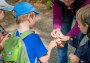 Guide shows children a lynx skull