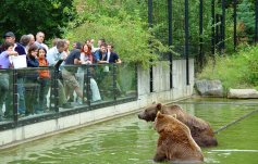 Gruppenangebote Bär, Bären spielen im Wasser