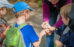 Guidin zeigt Kindern einen Luchsschädel